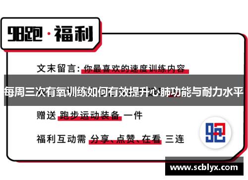 每周三次有氧训练如何有效提升心肺功能与耐力水平