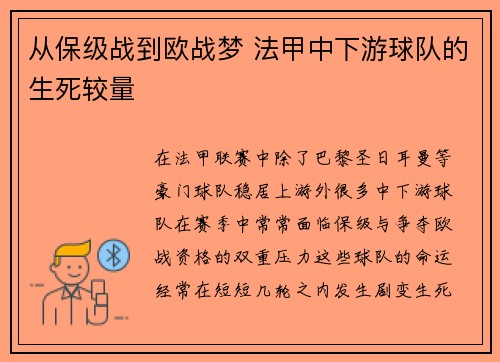 从保级战到欧战梦 法甲中下游球队的生死较量