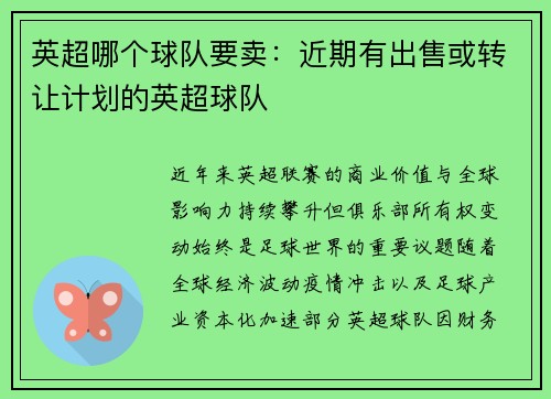 英超哪个球队要卖：近期有出售或转让计划的英超球队