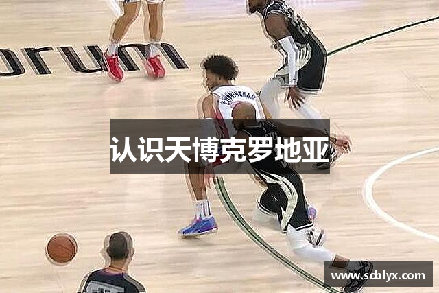 认识天博克罗地亚